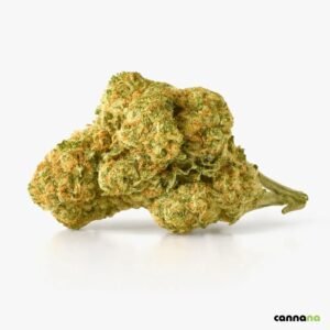 Mezcla superior de amnesia al 40 % 🧠