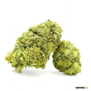 Galletas Glaseadas Superior 55% ❄️🍪