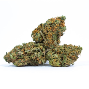 Haze de tejón de miel