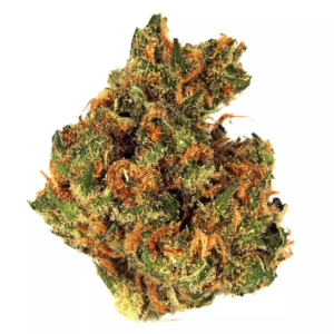 Zorrillo dulce de la isla